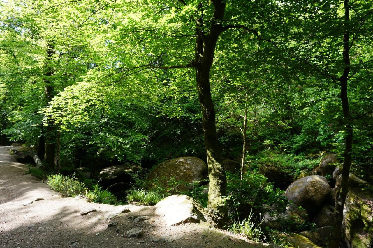 Vila Pointers Rostrenen Exteriér fotografie